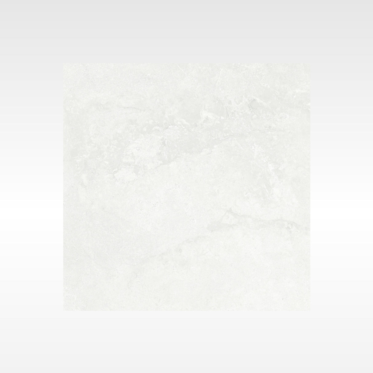 Elegance Silver 600x600 In&Out Solution