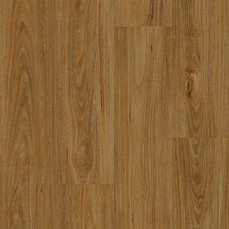 Hybrid Classic Collection QLD Spotted Gum 1524x228x7mm