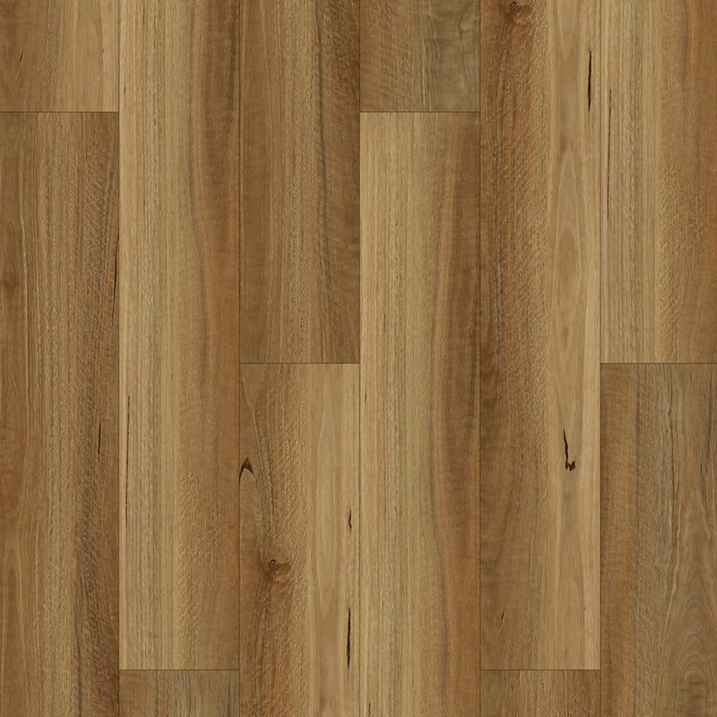 Hybrid Classic Collection NSW Spotted Gum 1524x228x7mm