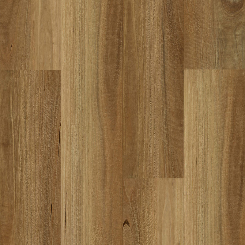 Hybrid Signatural Collection NSW Spotted Gum 1545x228x9mm