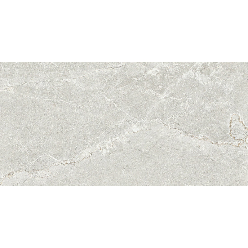 Ardesia Silver Honed 300x600