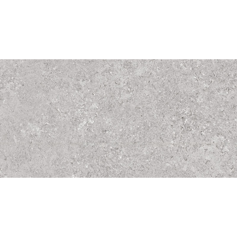 Entiva Arlo Grey Matt 300x600 Rec
