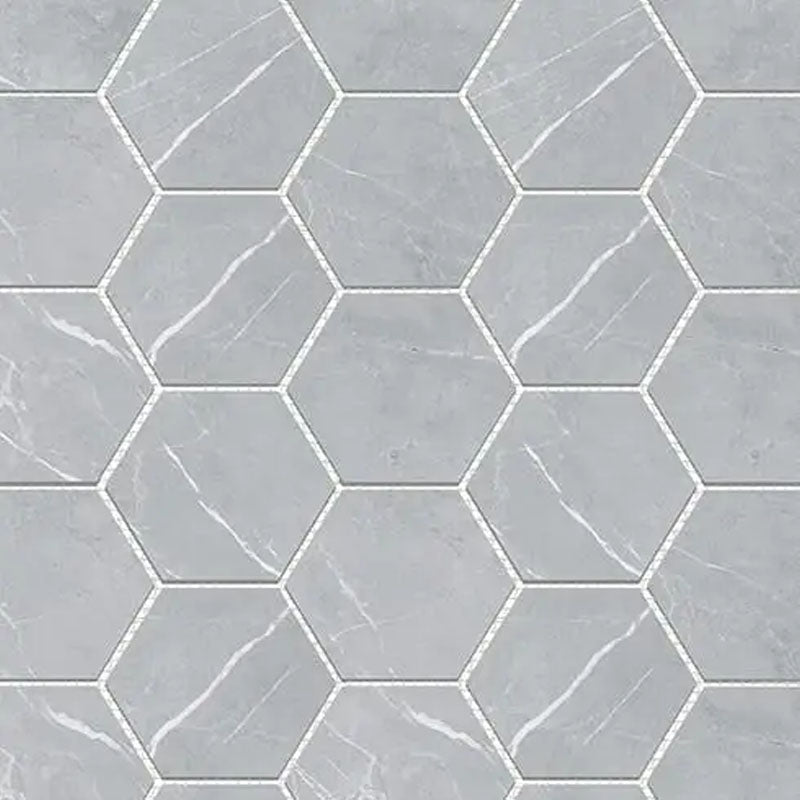 BRACCA LIGHT GREY HEXAGON 100X100 (292X252)