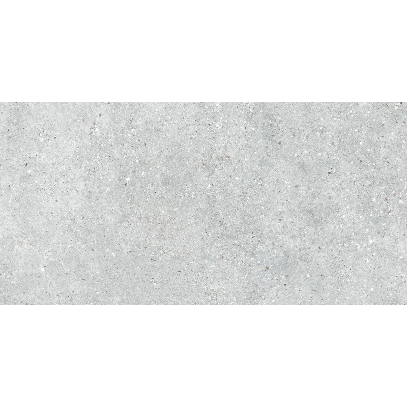 Entiva Beton Silver Matt 300x600 Rec