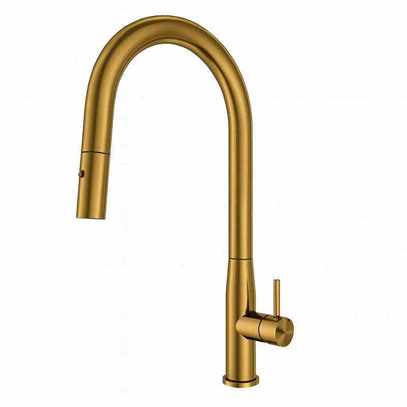 Navona Carysil Slim Pull out Kitchen Mixer Brushed Gold
