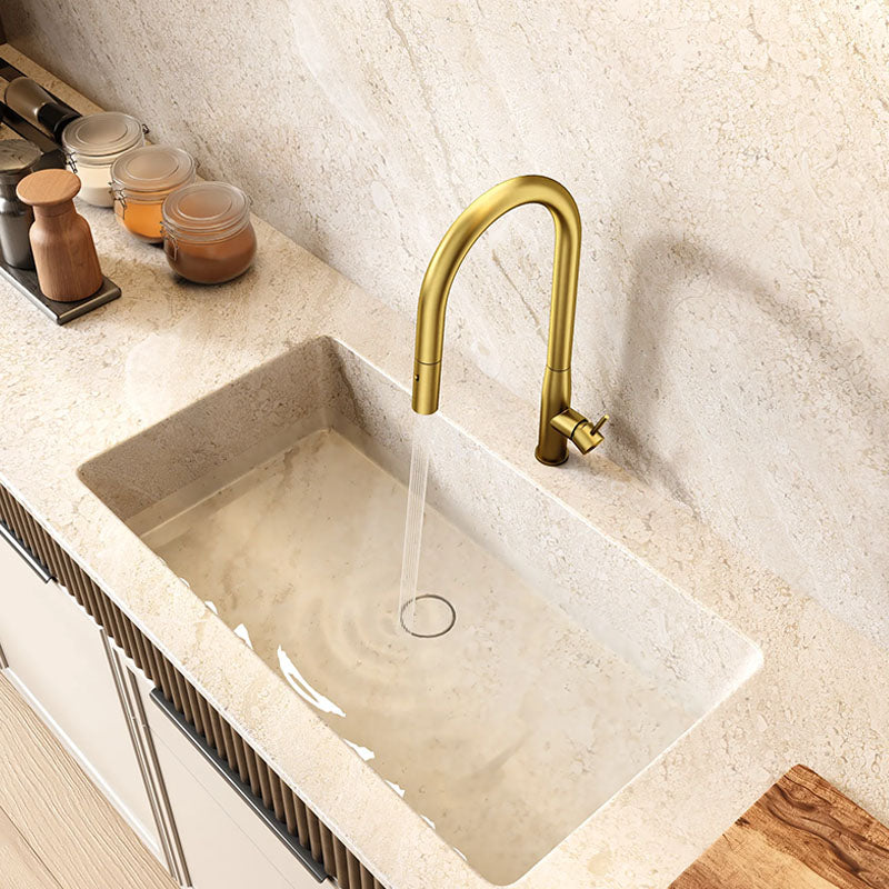 Navona Carysil Slim Pull out Kitchen Mixer Brushed Gold