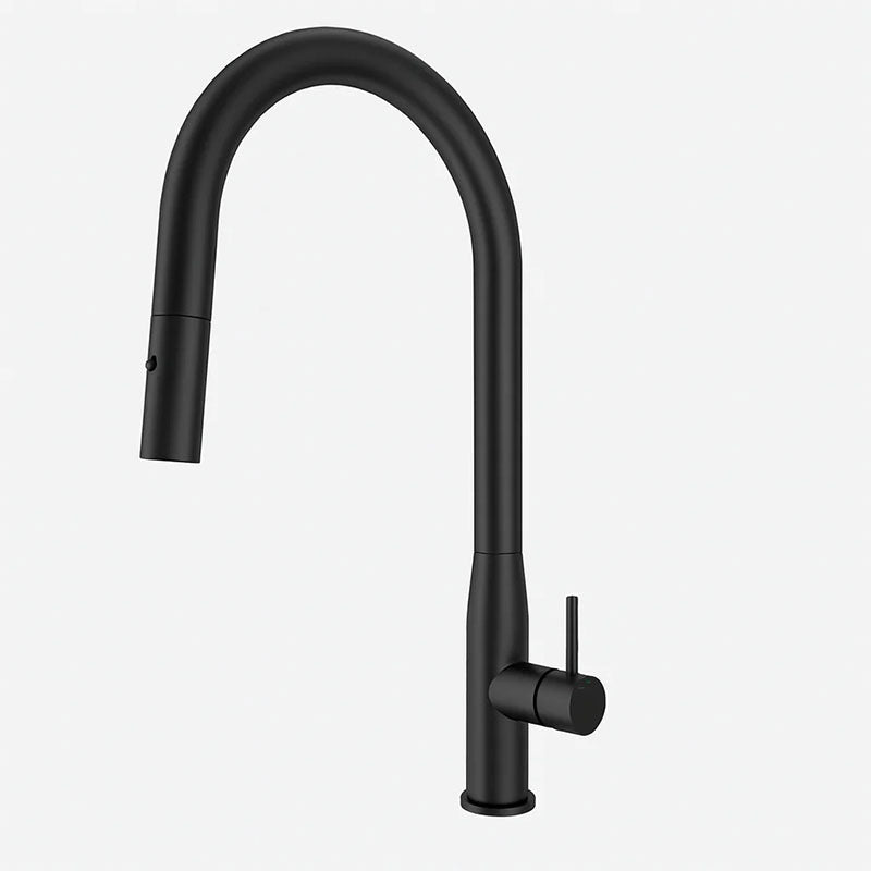 Navona Carysil Slim Pull out Kitchen Mixer Matte Black