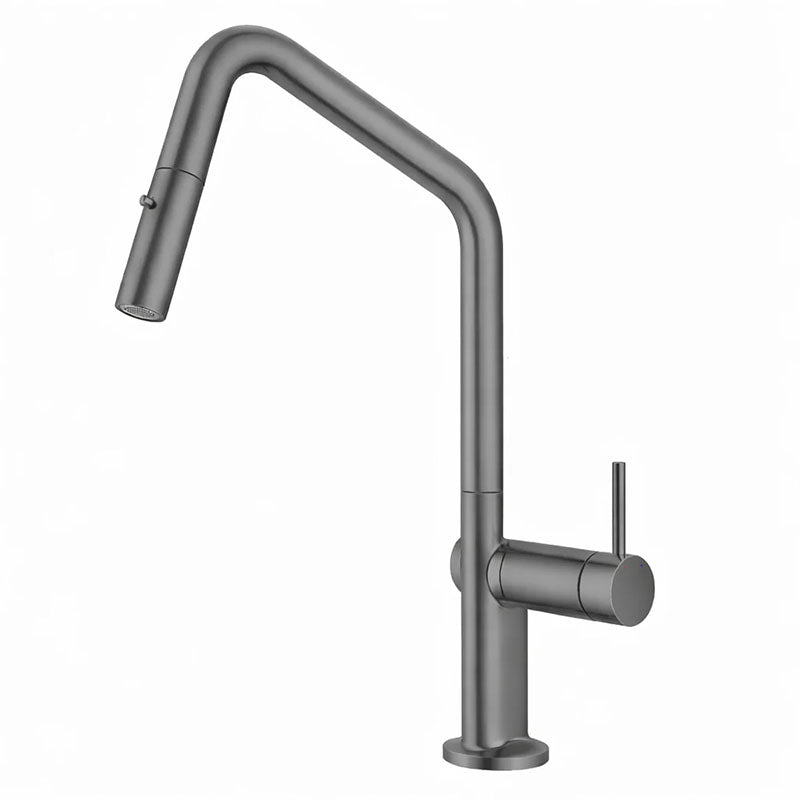 Navona Carysil Angle Pull out Kitchen Mixer Gun Metal