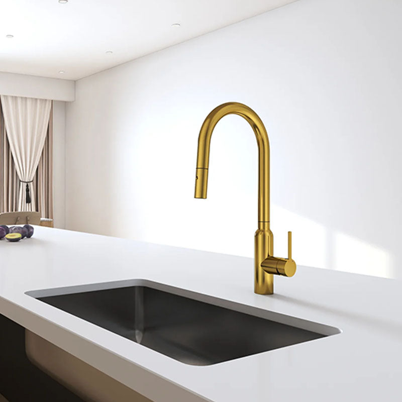 Navona Carysil Round Pull out Kitchen Mixer Brushed Gold