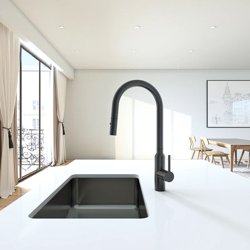 Navona Carysil Round Pull out Kitchen Mixer Matte Black