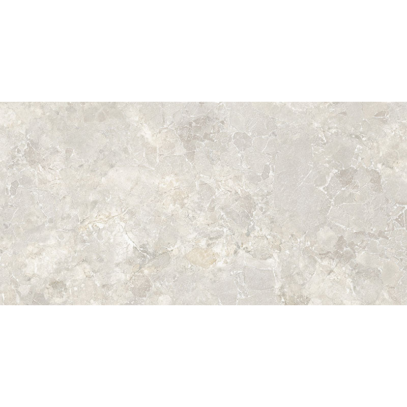 Chateau Earth 60x120 Matt