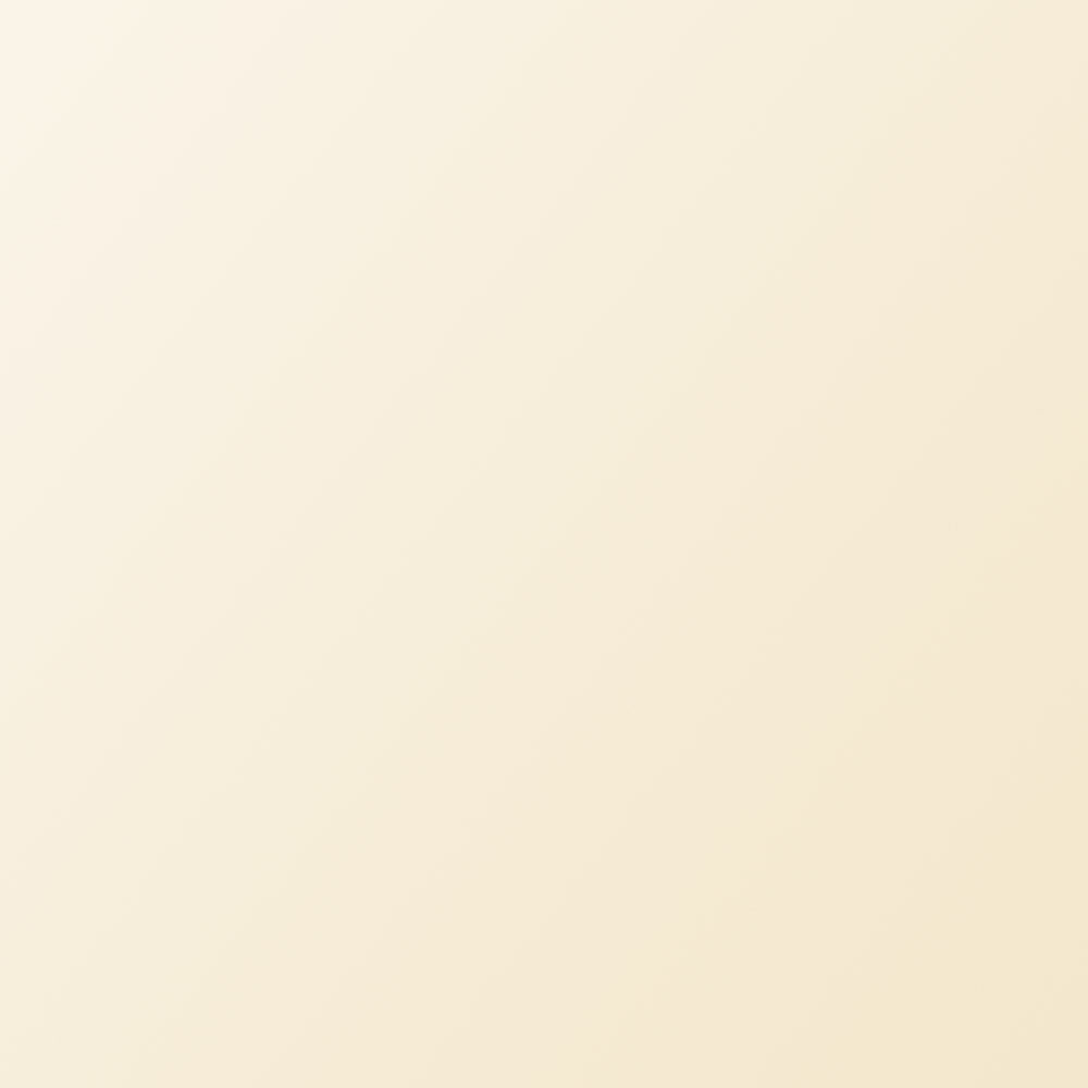 DUALTECH BISCUIT GLOSS 300X600X8.5