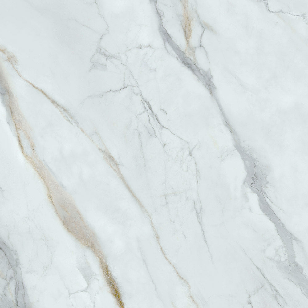 EXECUTIVE STONE CALCUTTA MARBLE 600X1200 POLISHED