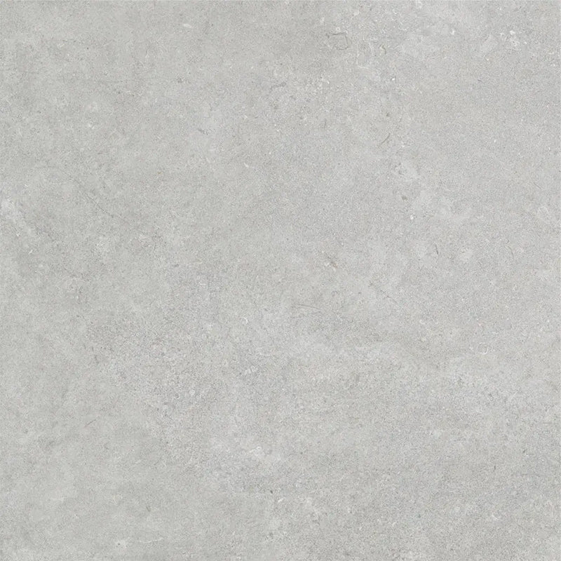 FOSILIME GREY MATT 600X600