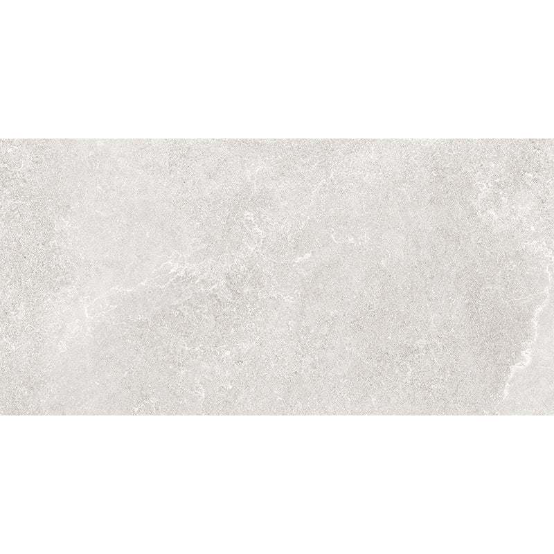 Hamilton Ice Silver 60x120 SurfaceTec