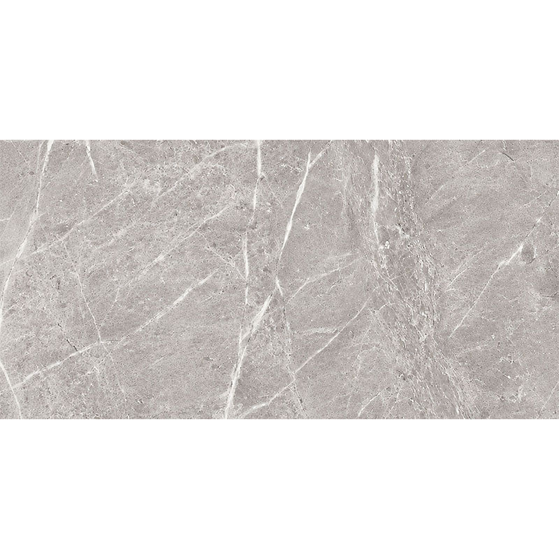 Entiva Illinois Dark Grey Polished 300x600 Rec.