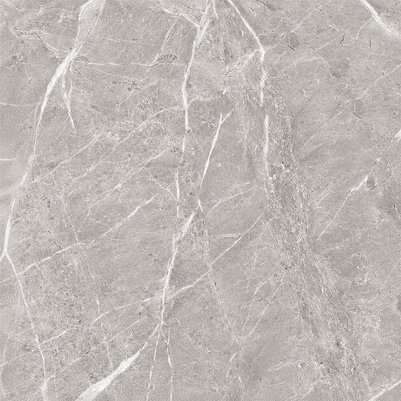 Entiva Illinois Dark Grey Polished 600x600 Rec.