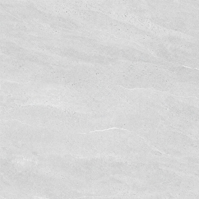 Entiva Illinois Light Grey Polished 600x600 Rec.