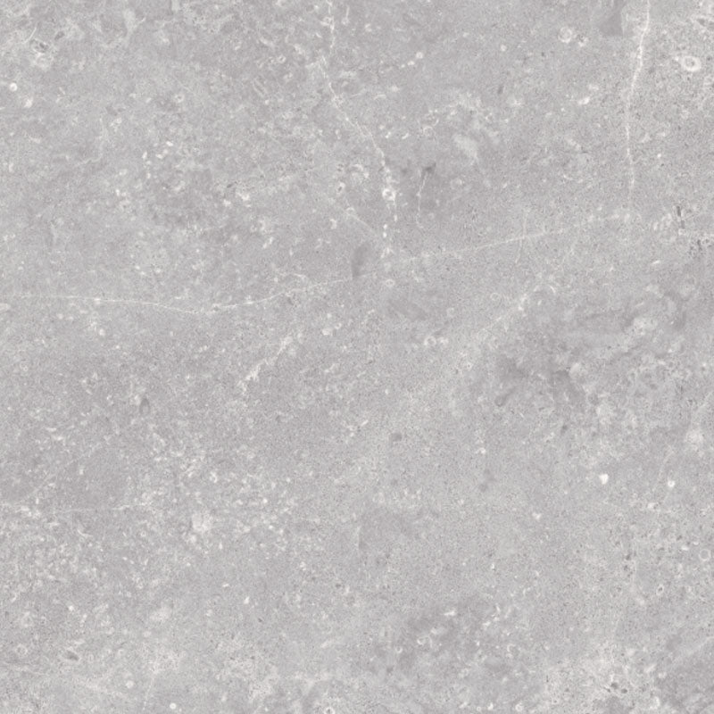 Tesla Grey Polished 600x600