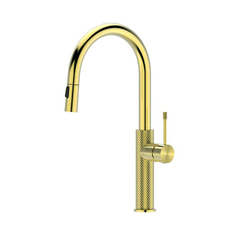 TIARA Sink Mixer with Unique Textured Body and Pull out Spray Brushed Brass Finish