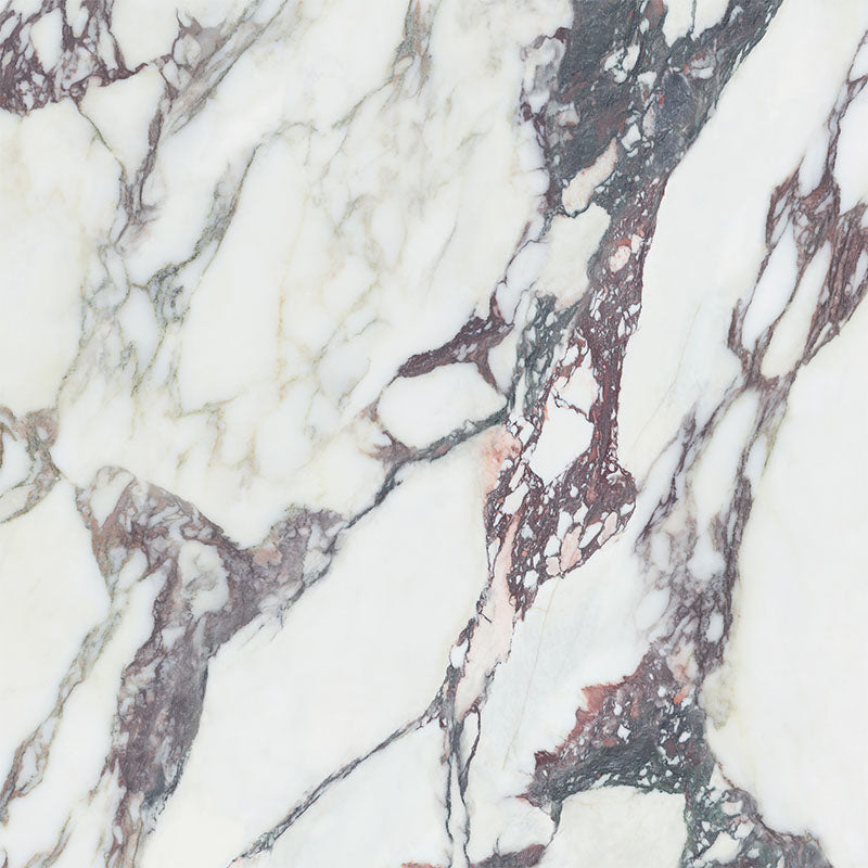 Kaolin x Greg Natale Calacatta Viola 60x60 SilkTec