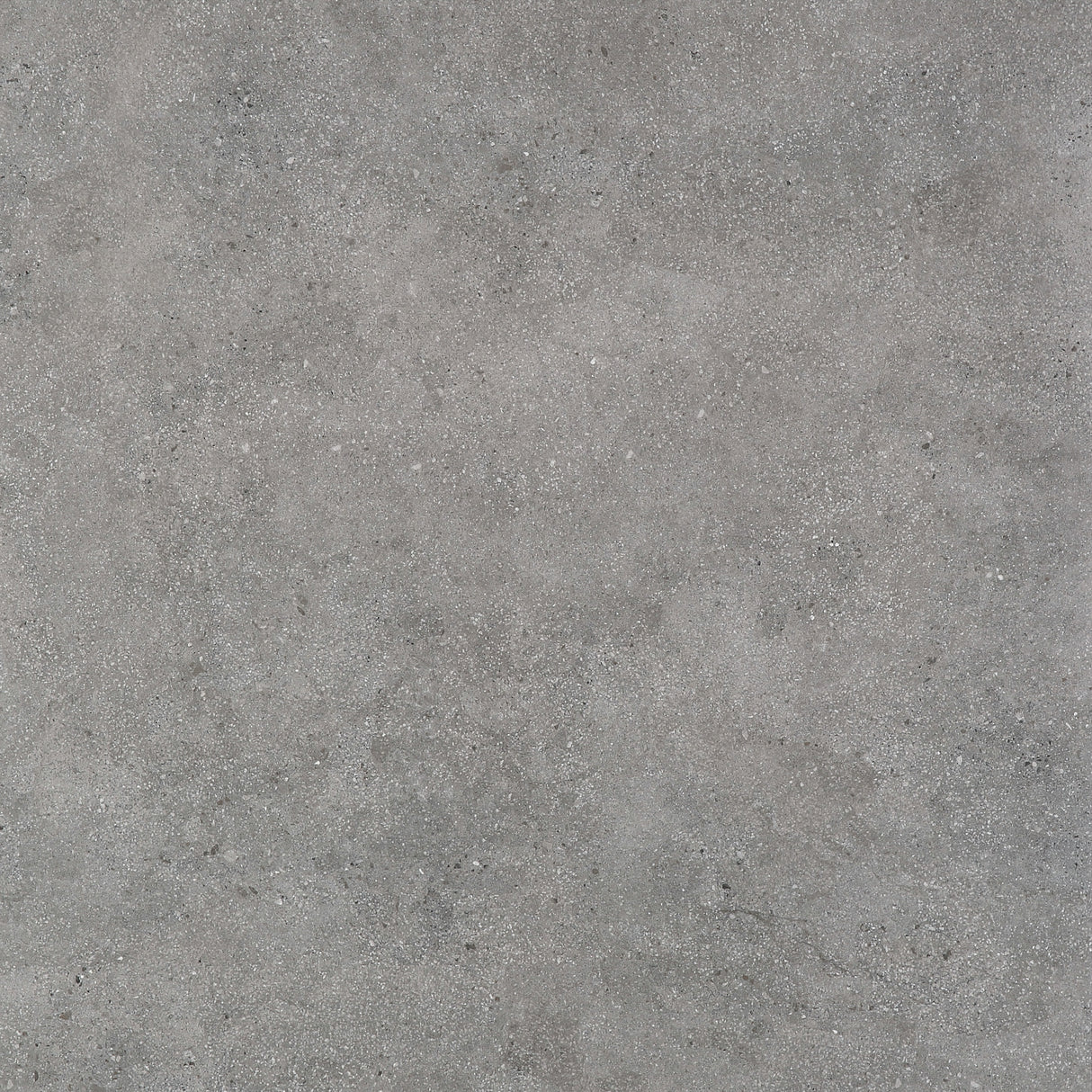 Life Stone Dark Grey Matt Anti-Slip 600x600