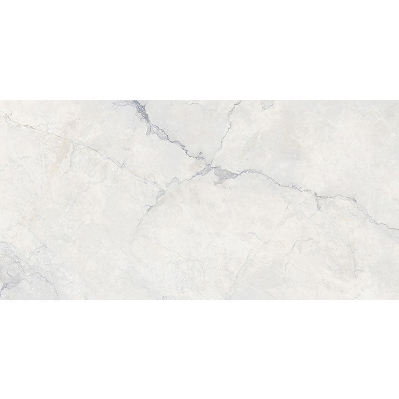 Misty Rain SilkTec 60x120