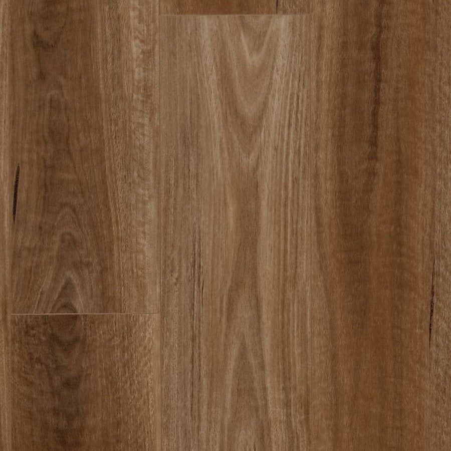 MTF Water-resistant Laminate Flooring Spotted Gum 12mm