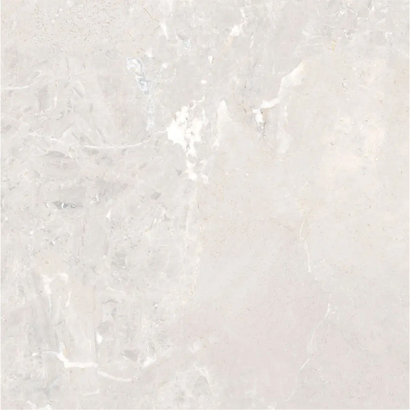 PARCO BIANCO MATT 600X600