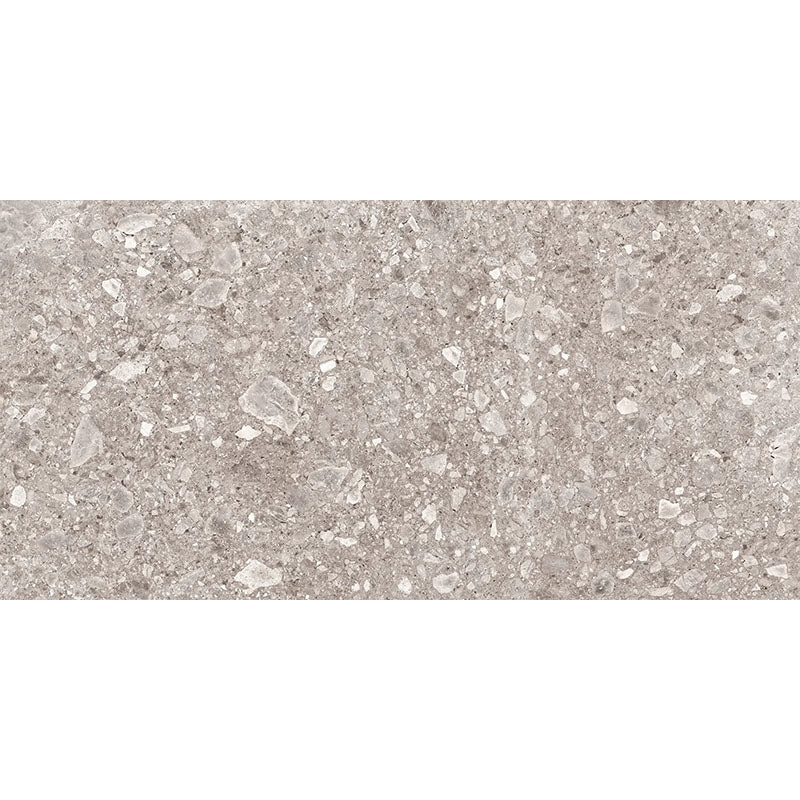 PEDREGAL CEPPO MATT 600X1200