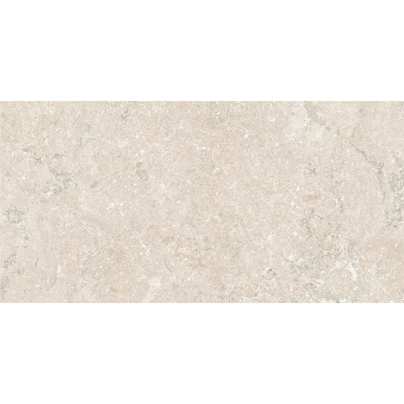 PORTLAND STONE TAUPE 120X60