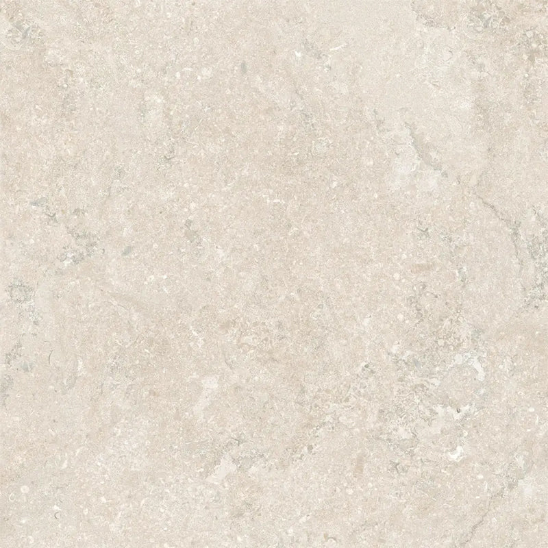 PORTLAND STONE TAUPE 60X60