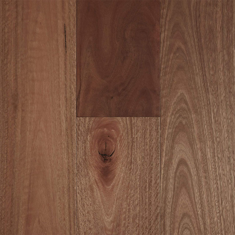 Smooth Matte Fiddleback Engineered Australian Hardwood Spotted Gum 1860x189x14/3mm