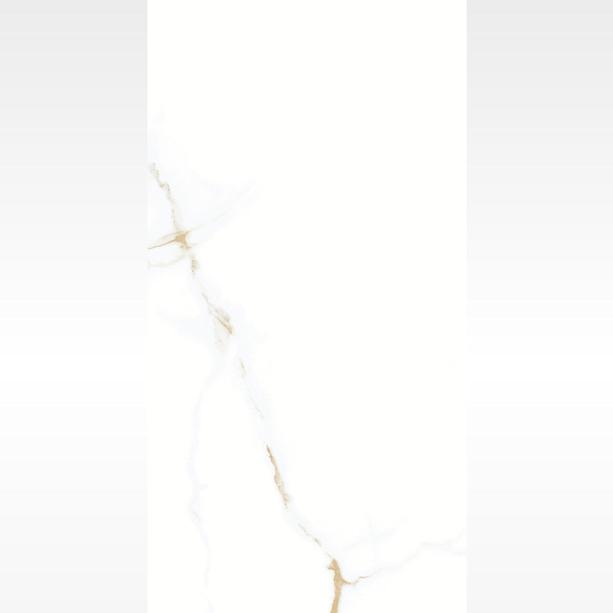 Statuario Gold Matt 600x1200