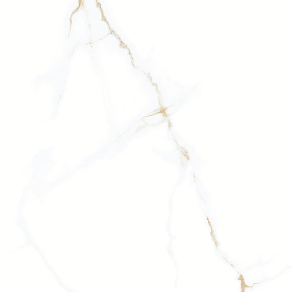 Statuario Gold Matt 600x600