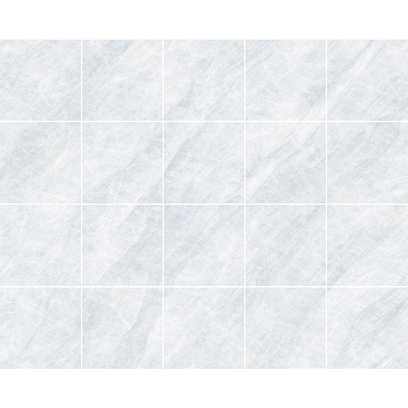 Taj Mahal Silver 600x600 Matt