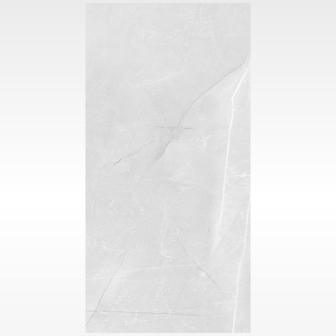 Vienna Grey Matt 300x600