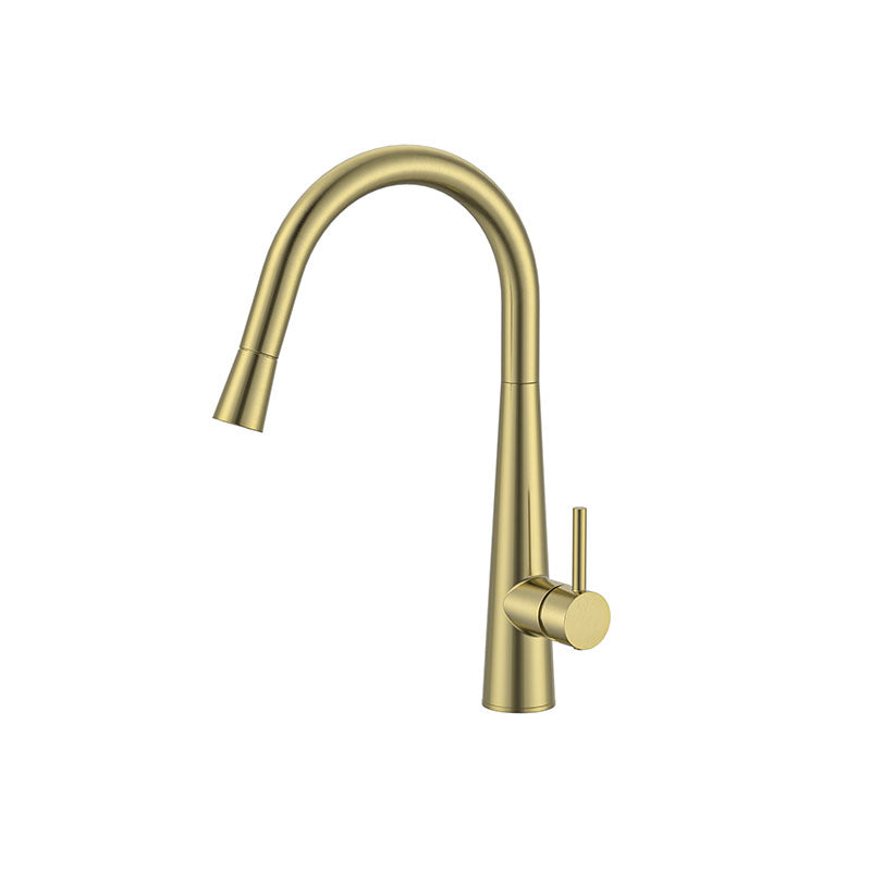 JESS Goose Neck Sink Mixer with Pull Out Magnet Head in Brushed Brass