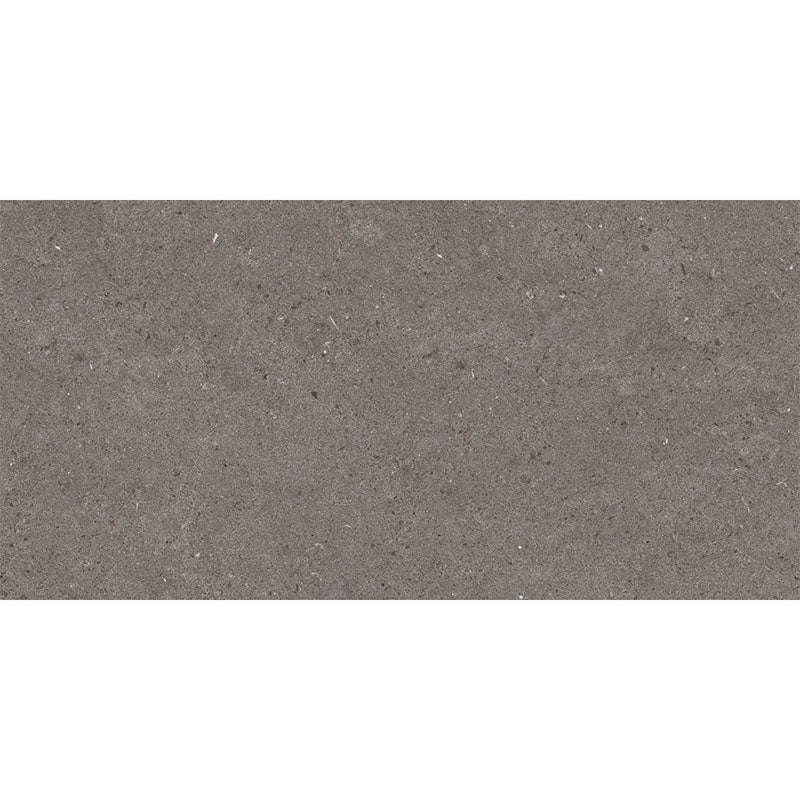 Entiva Spark Charcoal Matt 600x1200 Rec.