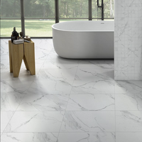 Marble Looking Tiles