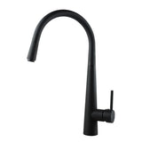 Round Pull Out Kitchen Sink Mixer Black