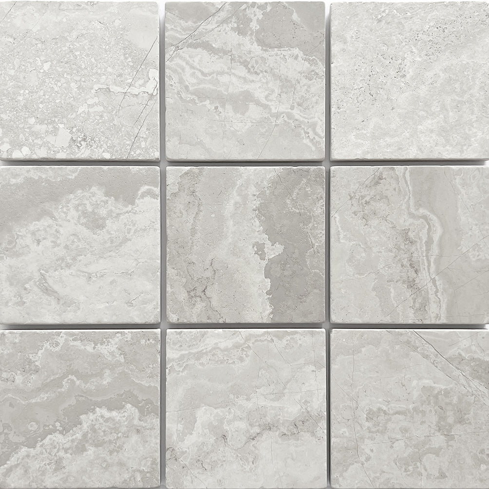 APOLLO GREY WOODSTONE TUMBLED 100X100