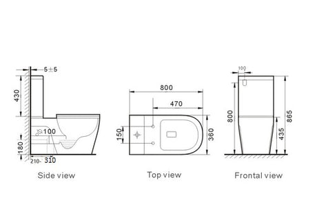 EXTRACARE Rimless Wall Faced Toilet Suite Dual Flush Single Flap Seat S or P Trap Available