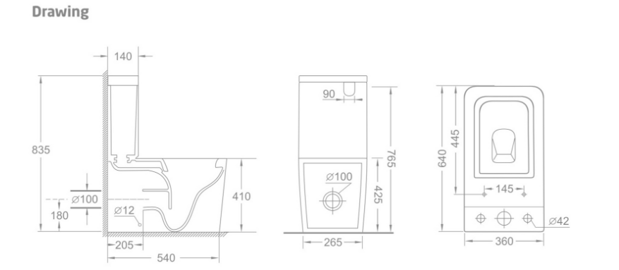 ACQUA-IV Universal Wall Faced Rimless Toilet Suite