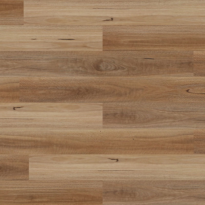 Authentic Hybrid Spotted Gum 1830x183x7mm