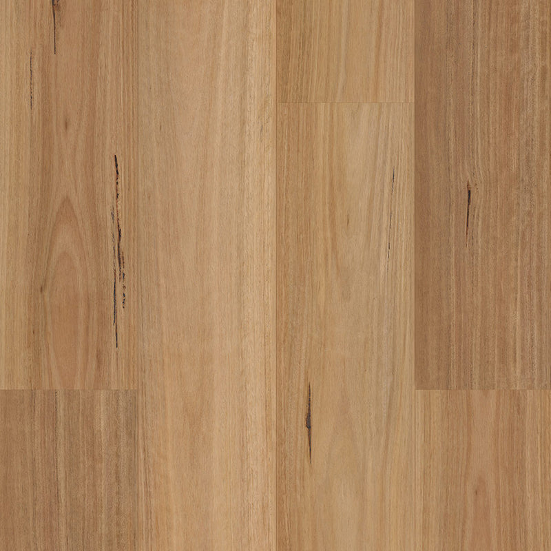 Hybrid Signatural Collection Native Blackbutt 1545x228x9mm