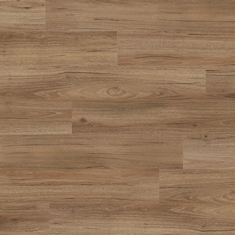 Maxi Smooth Finish Hybrid Coastal Spotted Gum 1830x230x9.5mm