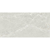 Ardesia Silver Honed 600x1200