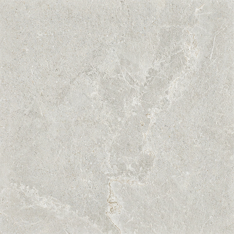 Ardesia Light Grey External P5 600x600