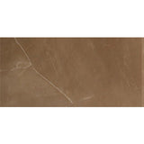 Entiva Dade Armani Gold Polished Rec 300x600mm